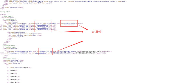 网站图片alt属性