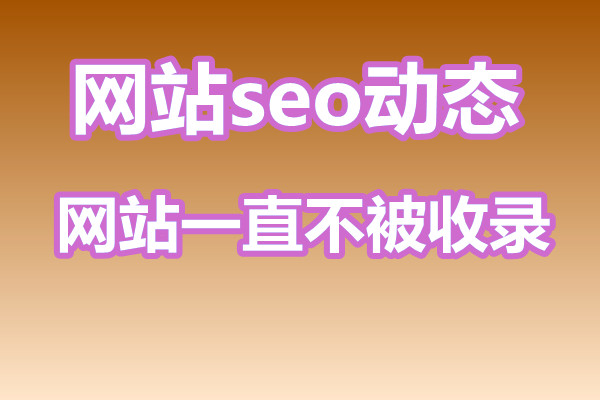 为什么网站一直不被收录?