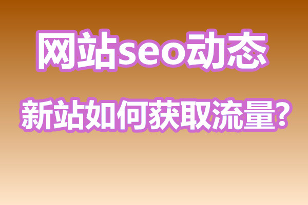 新站如何通过网站seo优化获取流量?