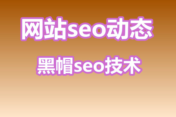 黑帽seo技术和手法都有哪些?