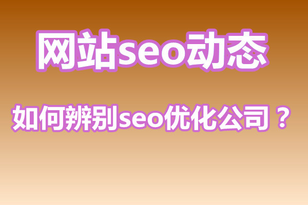 掌握这些seo基础知识点，辨别seo优化公司好坏