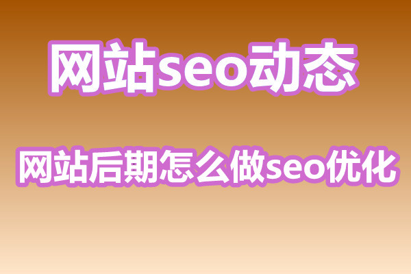 网站后期怎么做seo优化？