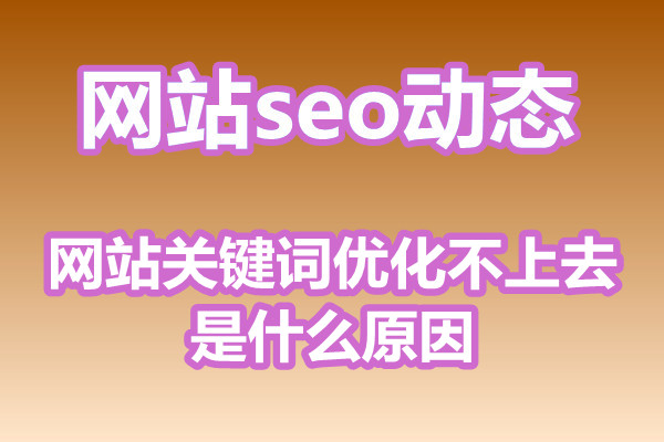 网站关键词优化不上去是什么原因?