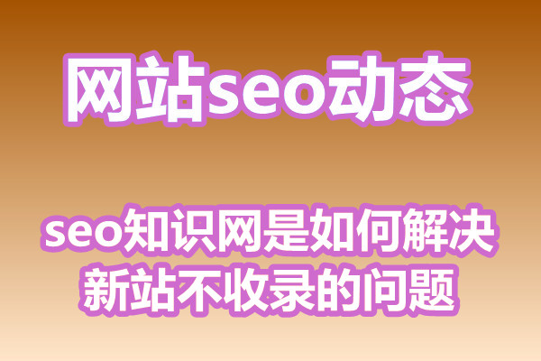 seo知识网是如何解决新站不收录的问题?