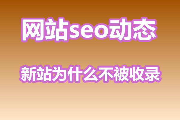 【网站SEO优化】新站为什么不被收录?