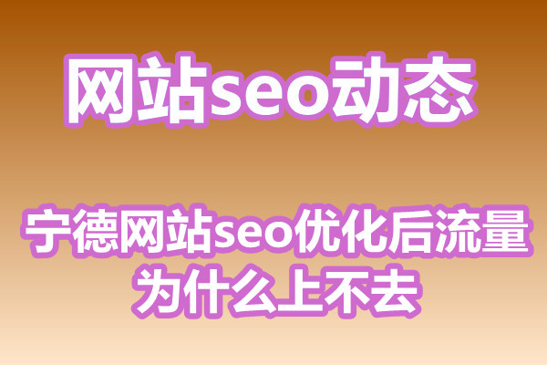 宁德网站seo优化后流量为什么上不去?