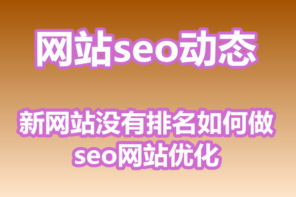 新网站没有排名如何做seo网站优化?