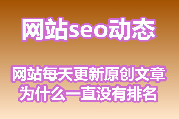 网站每天更新原创文章为什么一直没有排名?