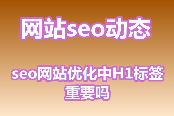 seo网站优化中H1标签重要吗?