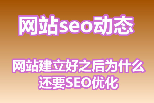 网站建立好之后为什么还要SEO优化?