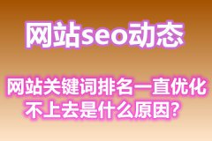 网站关键词排名一直优化不上去是什么原因？　