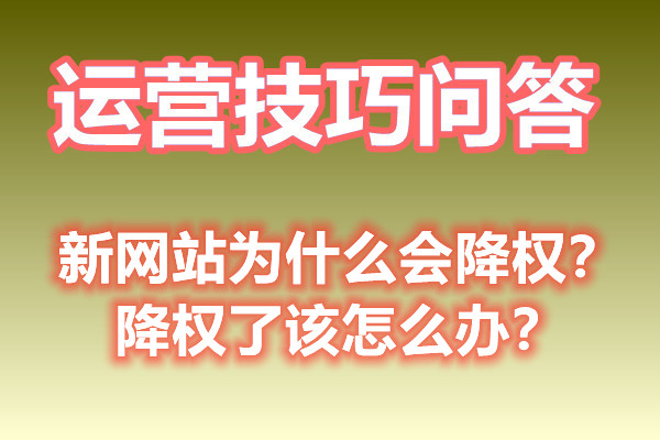 新网站为什么会降权？降权了该怎么办？